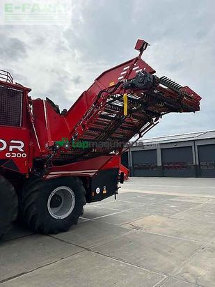 Cosechadora de Cereal - Grimme - rexor 6300 platinum