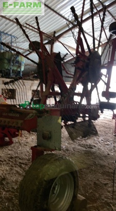 Rastrillo - Lely - hibiscus