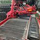 Cosechadora - arrancadora de patata - Grimme - se 260 ub