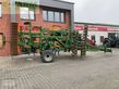Cultivador - Amazone - ceus 5000-2tx & greendrill 500 h