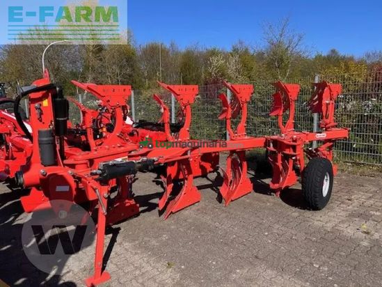 Arado - Maschio - unico m passo 4+1 d95