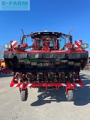 Cosechadora de Cereal - Grimme - rexor 6300 platinum