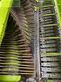 Empacadora gigant - Claas - quadrant 2200 rc