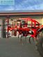 Cultivador - Horsch - terrano 4fx