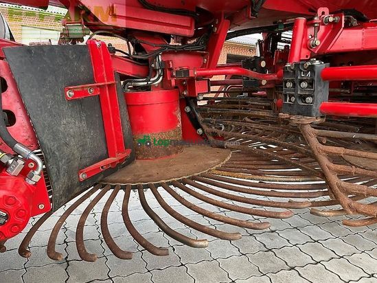 Cosechadora de Cereal - Grimme - rexor 6300 platinum