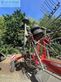 Rastrillo - Massey Ferguson - rk 802 trc