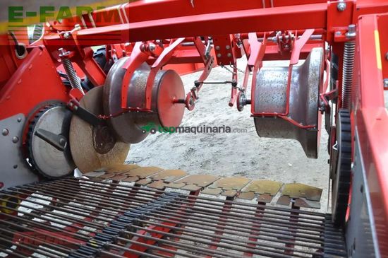 Cosechadora - arrancadora de patata - Grimme - se 260 ub