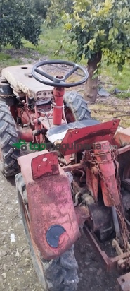 Mini tractor - Pasquali - 946