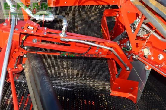 Cosechadora - arrancadora de patata - Grimme - evo 280 clodsep gen ii