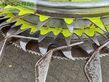 Cosechadora de Cereal - Claas - jaguar 860