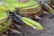 Cabezal - Claas - orbis 900 transportsystem