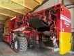 Cosechadora - arrancadora de patata - Grimme - evo 280 clodsep gen ii