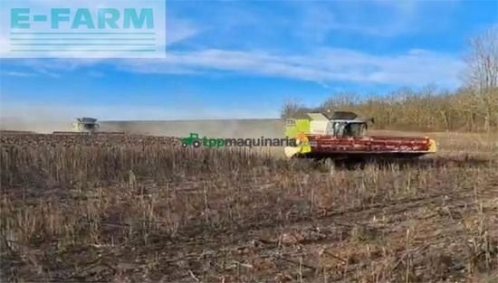 Cosechadora de Cereal - Claas - sonnblumenschneidwerk v1200 mit wagen