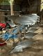 Arado - Lemken - juwel 7