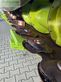 Cabezal - Claas - direct disc 600