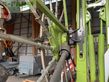 Rastrillo - Claas - liner 2900 business