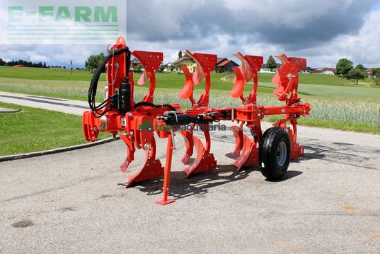 Arado - Maschio - unico m vario 4+0