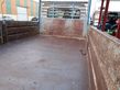 FURGONETA IVECO BASCULANTE