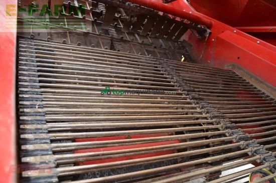 Cosechadora - arrancadora de patata - Grimme - se 260 ub