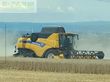 Cosechadora de Cereal - New Holland - CX 7.90