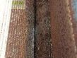 Cosechadora de Cereal - Claas - WHOLECROP