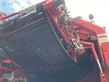Cosechadora - arrancadora de patata - Grimme - evo 290
