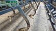 Cultivador - Lemken - kompaktor k500gfs