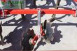 Cultivador - Ziegler - fieldprofi 3003 mulchgrubber - grubber