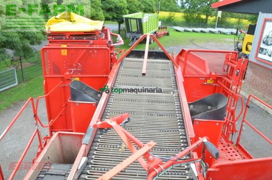 Cosechadora - arrancadora de patata - Grimme - evo 290 clodsep