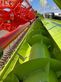 Cosechadora de Cereal - Claas - lexion 8700 tt m. vario 1230