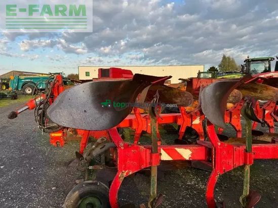Arado - Vogel  Noot - 8s565a10