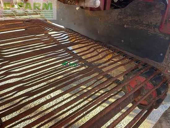 Cosechadora de Cereal - Grimme - rexor 6300 platinum