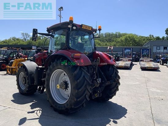 Tractor agrícola - Case IH - puma 185 cvx tractor (st23679) CVX