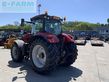 Tractor agrícola - Case IH - puma 185 cvx tractor (st23679) CVX