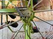 Henificador - Claas - liner 1250