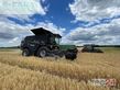 Cosechadora de Cereal - Fendt - ideal 7 pl