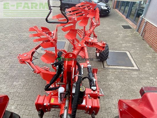 Arado - Maschio - unico m passo 4+