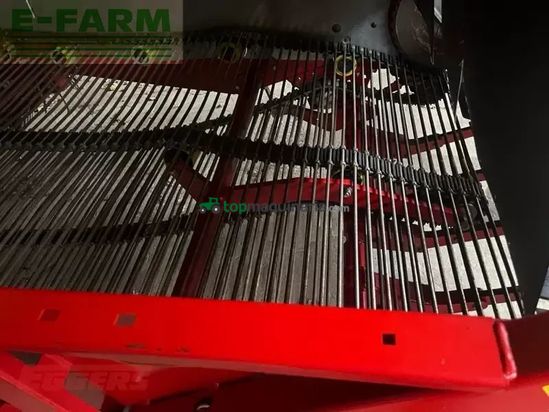 Cosechadora - arrancadora de patata - Grimme - evo 280 clodsep gen ii