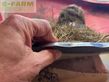 Remolqu esparcidor -  - biga 22-200/230
