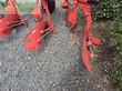 Arado - Maschio - unico l5 +vario nsh