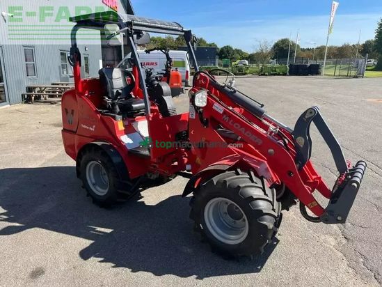 Minicargadora -  - 1036 lx