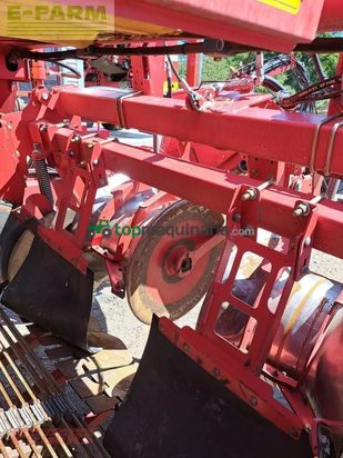 Cosechadora - arrancadora de patata - Grimme - se 260 ub