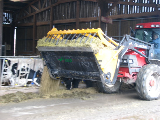  CAZOS DE DISTRIBUCION  EMILY