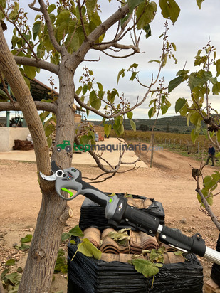 TIJERA DE PODA AGROTOOLS PHOENIX 1200 W