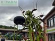 Henificador - Claas - volto 1100