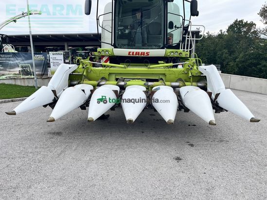 Cabezal - Claas - conspeed 6-70 fc - gebrauchter maispflücker