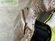 Cortacésped manual - Claas - disco 4000 contour