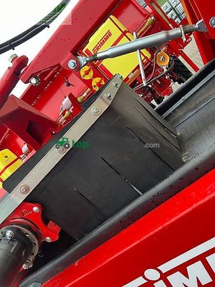 Cosechadora - arrancadora de patata - Grimme - tc 813 - rental