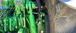Tractor agrícola - John Deere - 6R 250