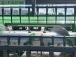 Cabezal - John Deere - 722x schneidwerk 6,7m xa 22